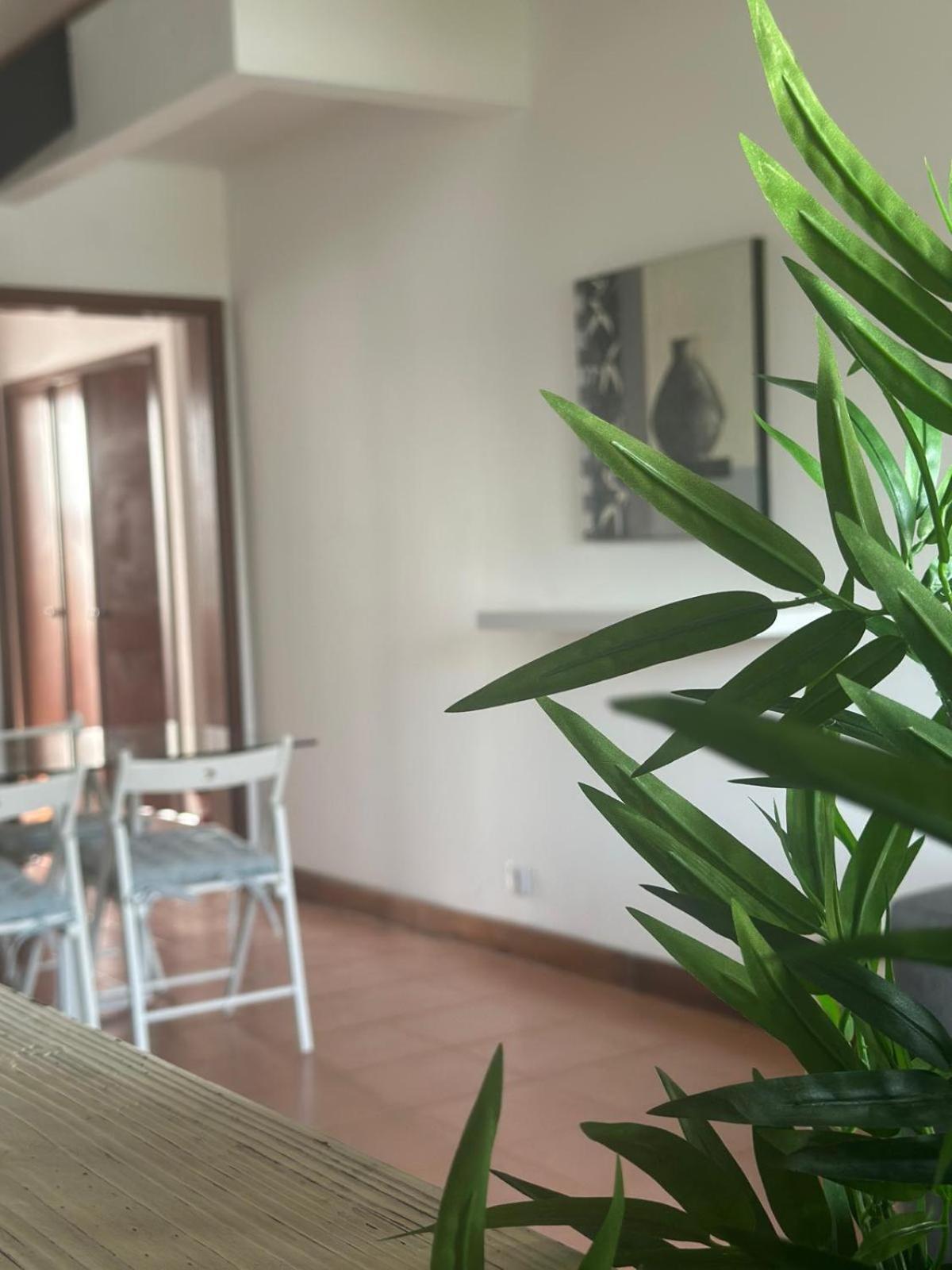 Azores Pedra Apartments - T0 E T1 ปอนตาเดลกาดา ภายนอก รูปภาพ